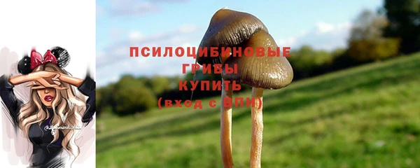 гашишное масло Аркадак