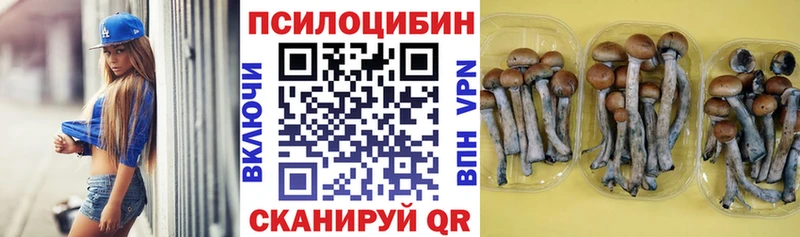 купить   ссылка на мегу ссылки  Псилоцибиновые грибы мицелий  Оленегорск 
